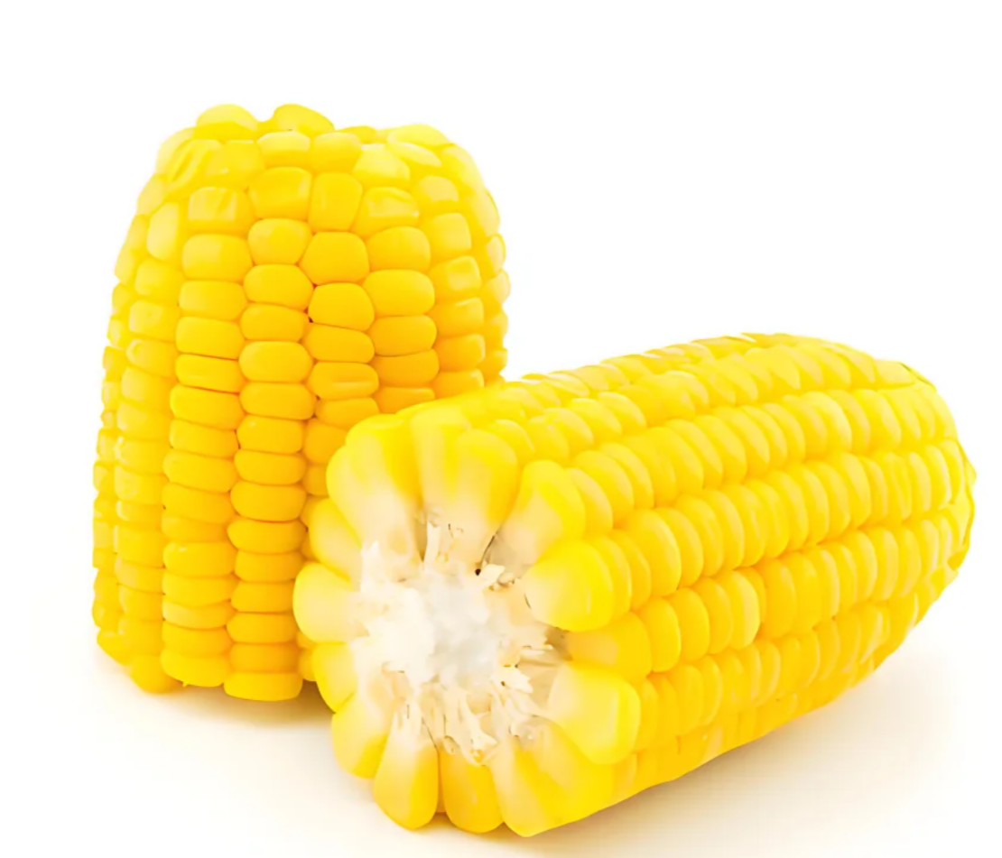 微信图片_2026-04-29_132801_455.png