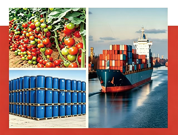 Takai International Trade(TianJin)CO.,Ltd