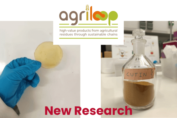 Tomato processing waste shows antibacterial packaging promise